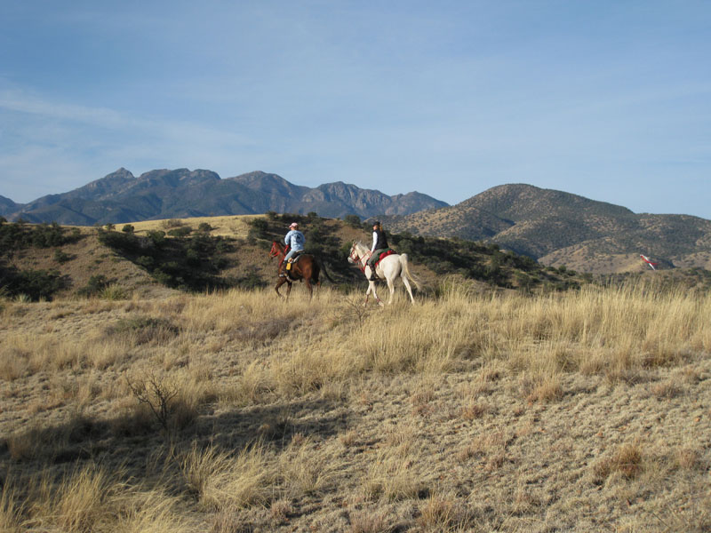 2009OldPueblo_064