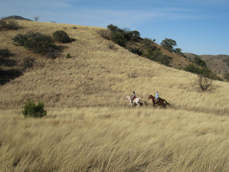 2009OldPueblo_068