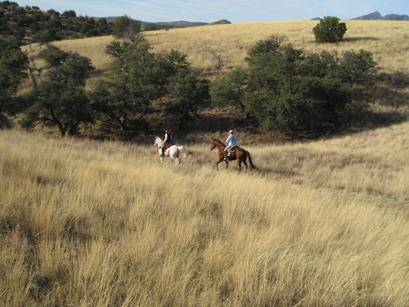 2009OldPueblo_069