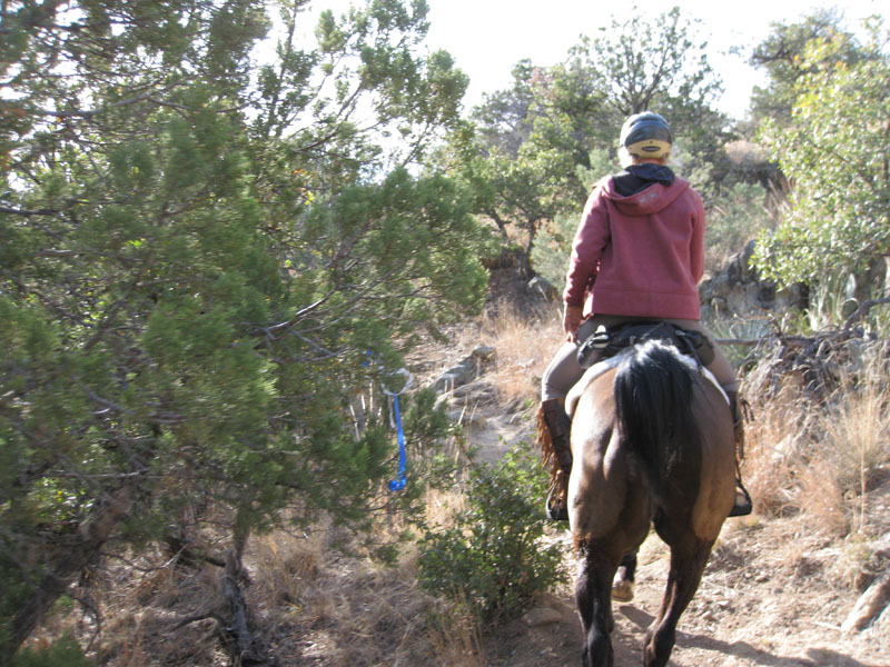 2009OldPueblo_079