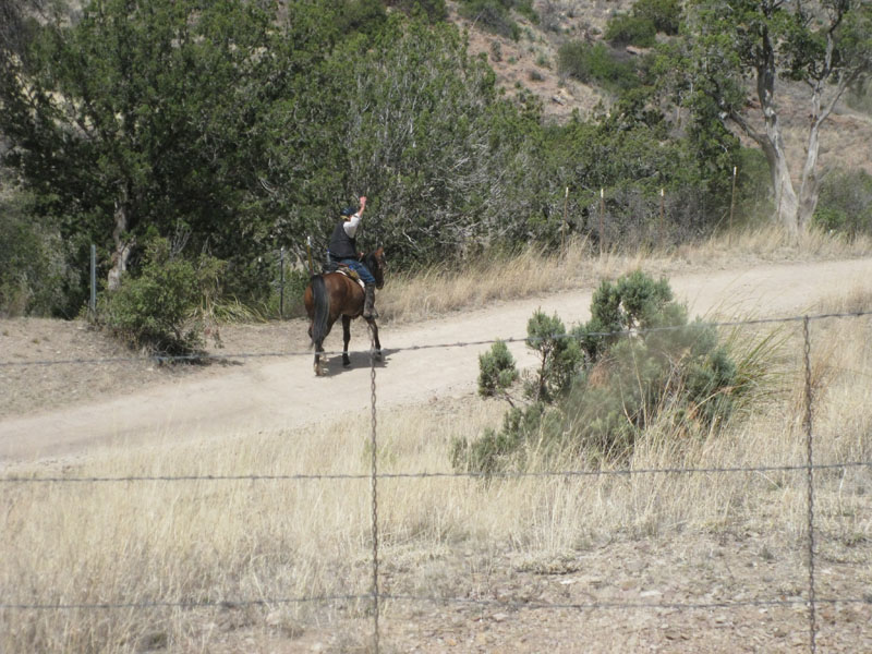 2009OldPueblo_102