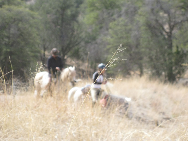 2009OldPueblo_103