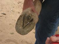2009OldPueblo_020