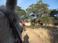2009OldPueblo_053