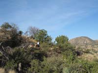 2009OldPueblo_061