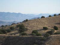 2009OldPueblo_067