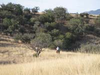 2009OldPueblo_072