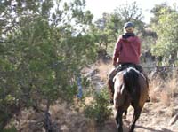 2009OldPueblo_079