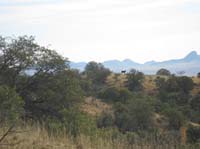 2009OldPueblo_083