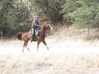 2009OldPueblo_094