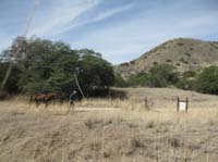 2009OldPueblo_096