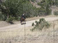 2009OldPueblo_102