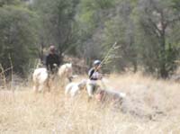 2009OldPueblo_103
