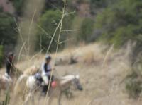 2009OldPueblo_104