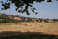 0908SAS_092