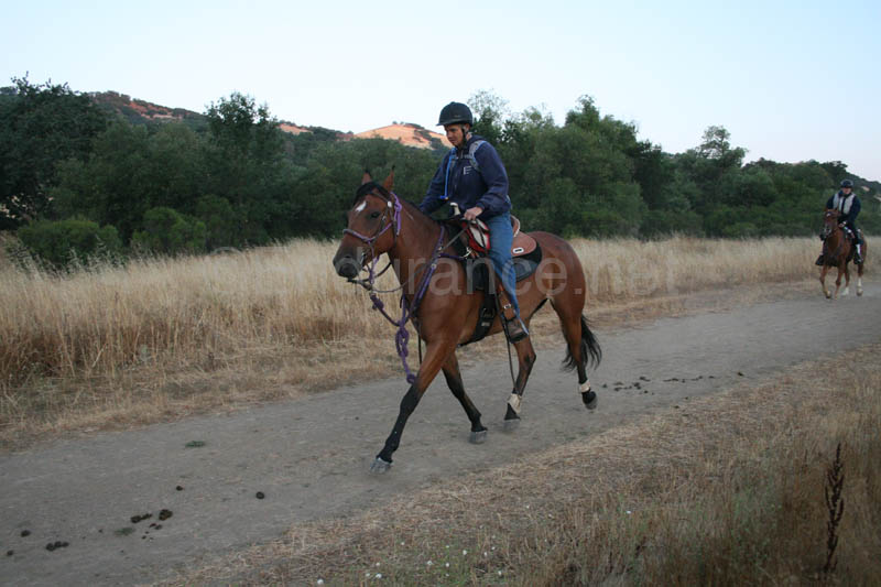 0908SAS_106