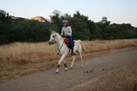 0908SAS_098