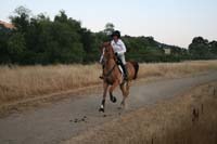 0908SAS_100