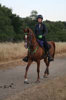 0908SAS_102
