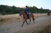 0908SAS_106