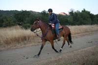0908SAS_107