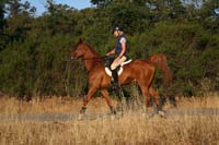 0908SAS_141