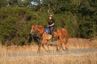 0908SAS_143