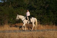 0908SAS_145
