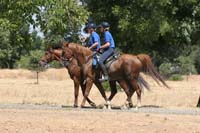 0908SAS_221G