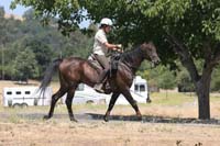 0908SAS_221J