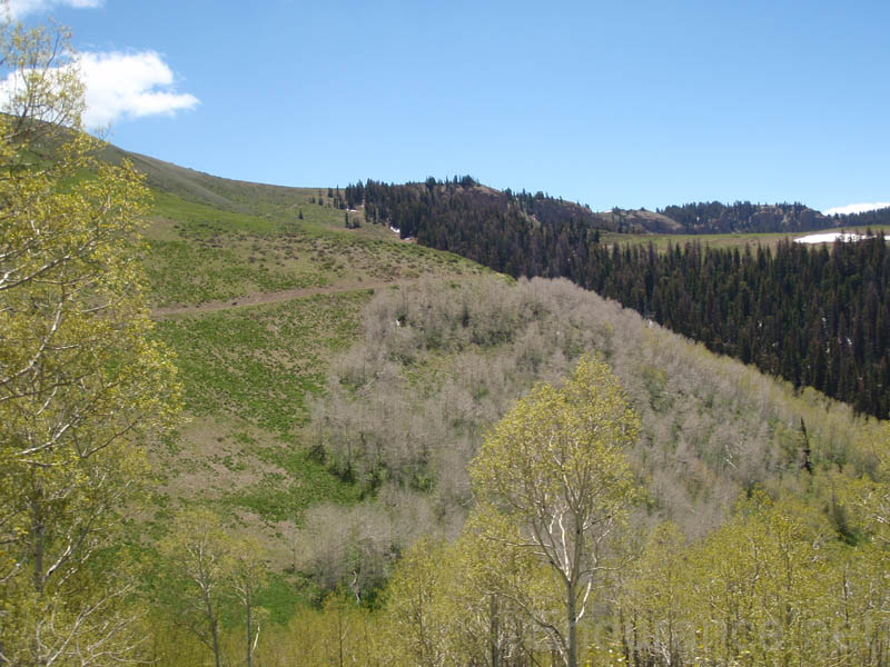 0906SFF_040