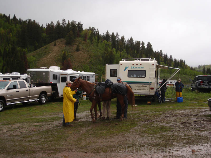 0906SFF_094