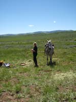 0906SFF_066