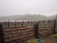 0906SFF_091