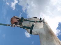 0906SFF_212
