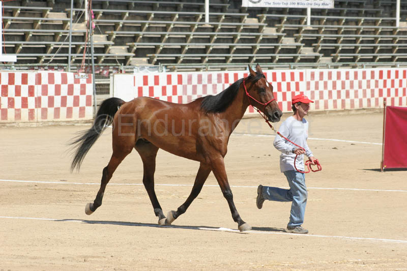 0908Tev_202