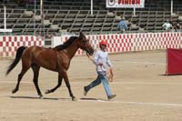 0908Tev_197