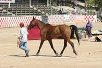 0908Tev_199