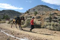 international/USA/2009VirginiaCity/gallery/05/thumbnails/0909VC100_324C.jpg