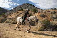 international/USA/2009VirginiaCity/gallery/05/thumbnails/0909VC100_324P.jpg