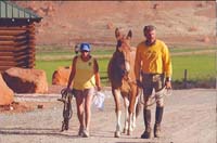 Bighorn100Finish