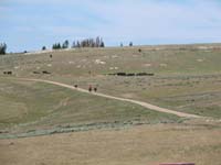 IMG_5634