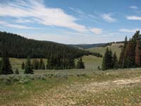 IMG_5662