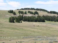 IMG_5665