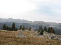 IMG_0170