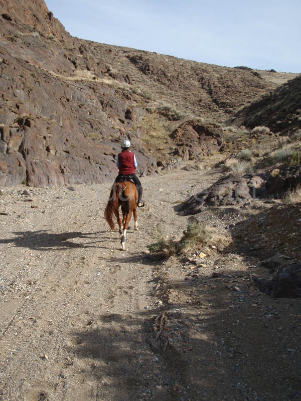 1004HDC_110
