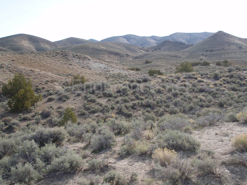 1004HDC_116