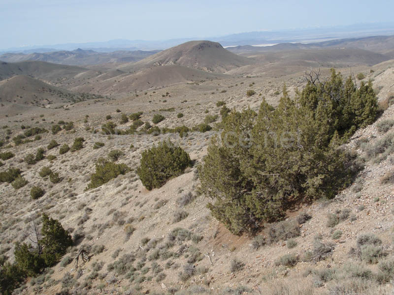 1004HDC_142