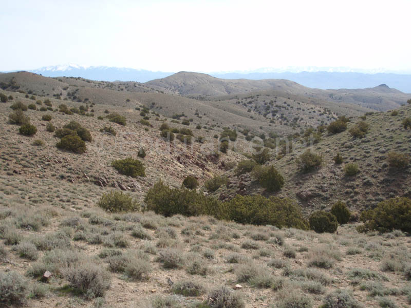 1004HDC_148
