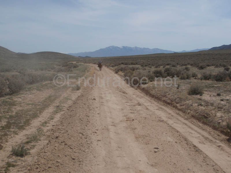 1004HDC_173